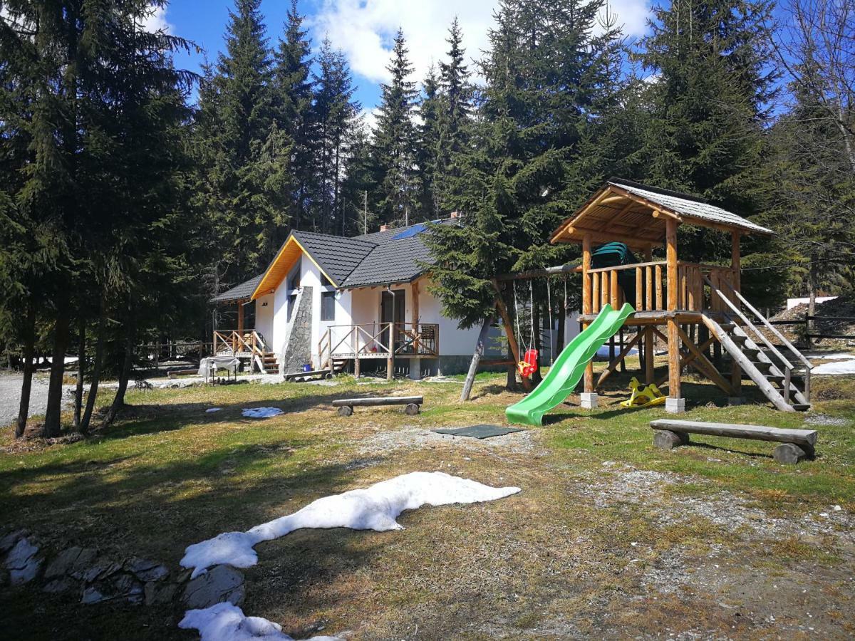 Complex Transalpina Lac Voineasa Exterior foto